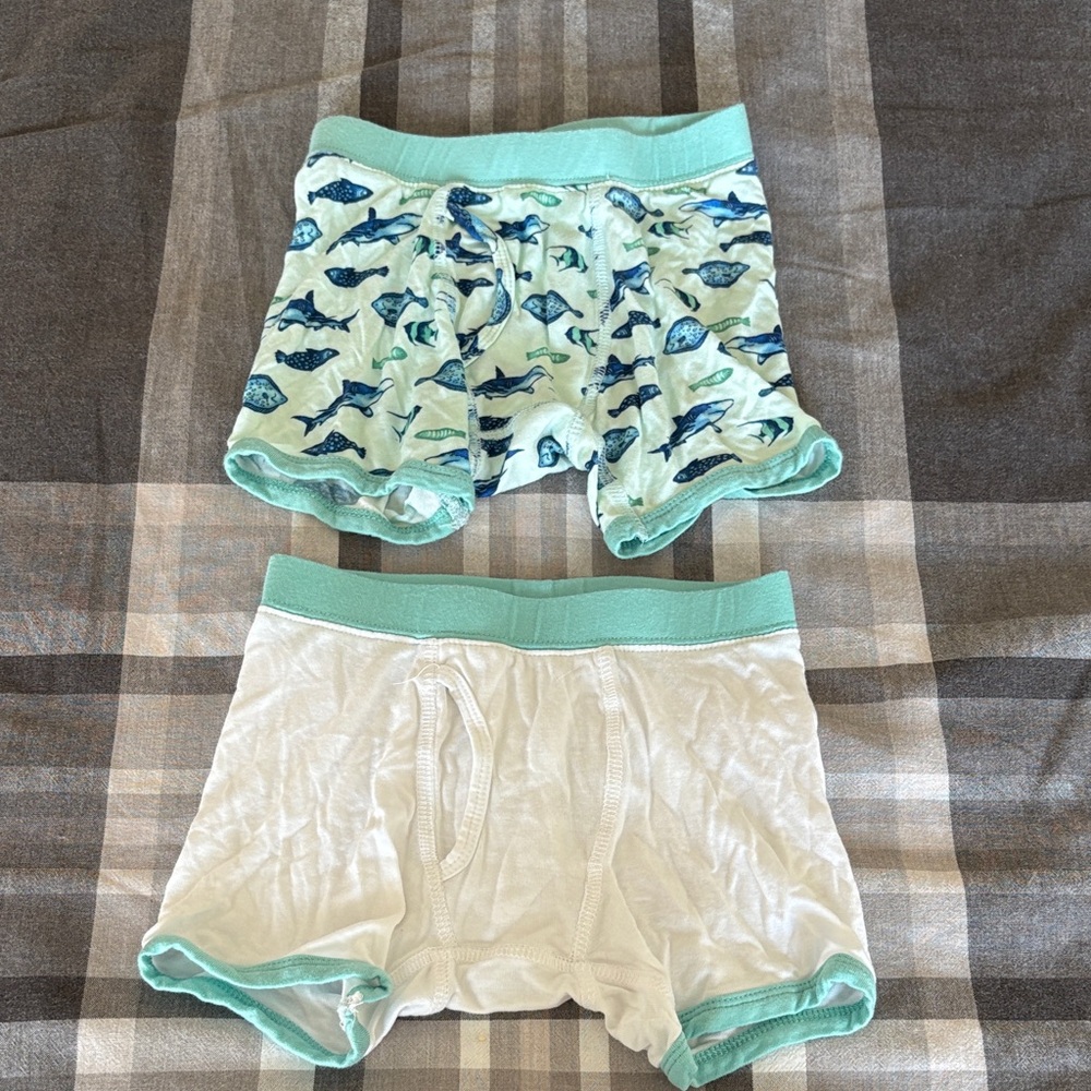 Zip n Bear Bamboo Boys Briefs- 2 pair